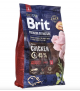 Brit Premium By Nature Adult L 