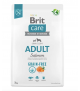 Brit Care Salmon Adult 