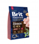 Brit Premium junior L 