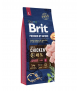 Brit Premium junior L 