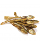 Pescadito seco - Arquivet 