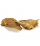 Oreja de cerdo mediana - Arquivet 