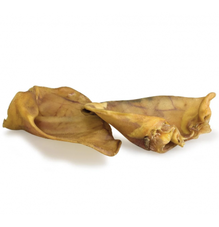 Oreja de cerdo mediana - Arquivet 