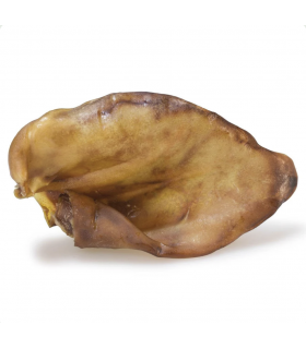 Oreja de cerdo XXL - Arquivet
