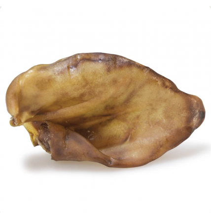 Oreja de cerdo XXL - Arquivet
