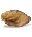 Oreja de cerdo XXL - Arquivet