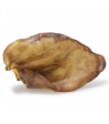 Oreja de cerdo XXL - Arquivet
