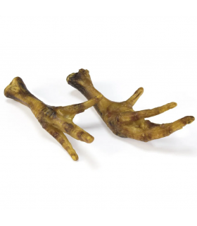 Patas de pollo - Arquivet 