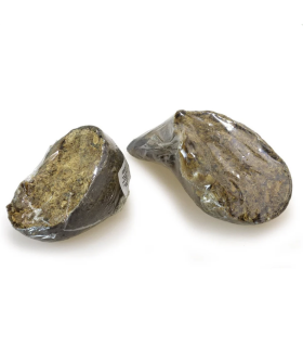Pezuña de búfalo rellena de hígado de búfalo - Arquivet