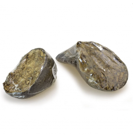 Pezuña de búfalo rellena de hígado de búfalo - Arquivet