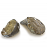 Pezuña de búfalo rellena de hígado de búfalo - Arquivet